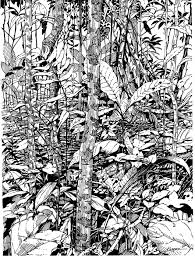 The terms technical pen, drawing pen, and technical drawing pen are often used the main difference between isograph and rapidograph pens is that isographs use bottled ink rather than. Plein Air Pen And Ink Drawings Drawing The Motmot