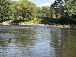 Maybe you would like to learn more about one of these? Algues Bleues Esneux Interdit La Baignade Dans L Ourthe