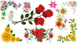 Water frame transparent background jewelry time photo frame transparent template nature png. Free Download Set Of Png Flowers Corner Flower Png Free Youtube