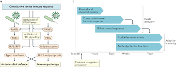 Constitutive Immune Mechanisms Mediators Of Host Defence And Immune Regulation Nature Reviews Immunology