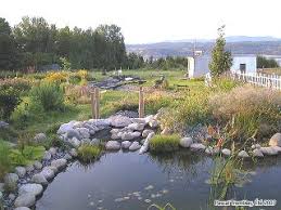 Planning a garden stream project. Garden Stream Build A Stream Or Creek Natural Filter For Pond Instructables