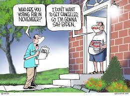 This pat bagley cartoon appears in the salt lake tribune on jan. Best Cartoons Of The Week 08 01 20 This Just In From Franklin Wi