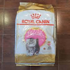 Sudah melewati proses riset berbasis ilmiah dan juga kaya akan kandungan nutrisi yang bukan hanya sehat, tetapi juga aman. Royal Canin Kitten Persian 10kg Makanan Anak Kucing Rc Kitten Persia Karungan Sak Besar Shopee Indonesia