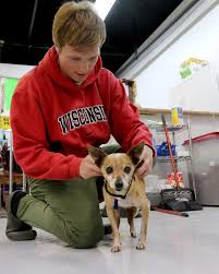 Families and individuals throughout napoleon, oh and surrounding communities can take advantage of a wide range of primary, acute. Mchenry County Shelters See Uptick In Pet Adoptions Amid Covid 19 Stay At Home Order Shaw Local