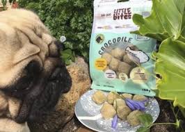 Raw Food Archives The Pug Diary