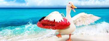 I have been working at aflac. Aflac Insurance Agent Tequesta Service Insurance