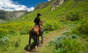 Things to do near mavericks. Winter Park Horseback Riding Horse Trail Rides Alltrips