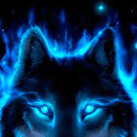 Photo Neon Wolf Gif Optical Illusions Art Unicorn Wallpaper Cute Trippy Gif