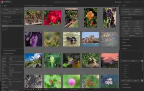 The best tools for mac. Best Raw Photo Editor In 2021 Free And Paid Mac Windows