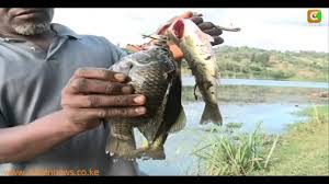 It is not clear whether he will be alternating between the homes since he will still be visiting the othaya kanyange home. Kibaki S Retirement Home In Mweiga Youtube