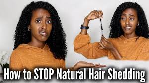 How do stop your fingernails from growing? How To Stop Natural Hair Shedding Tips Tricks More Lydia Tefera Youtube
