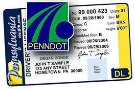 The vendor is required to check penndot's records every month to see if you purchase r register a vehicle. Pennsylvania Drivers License Renewals