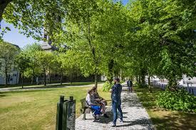 Maybe you would like to learn more about one of these? Tongeren En Rijmenam Hebben Beste Openbare Ruimten Van Vlaanderen Voetgangersbeweging