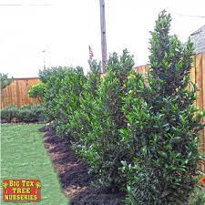 Pin On Landscaping