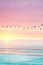 Birds Flying In The Sky Sunset Pastel Colored Sunset That Pleases Your Eye Just Watch The Birds Fly On By Gundogumlari Resimler Manzara