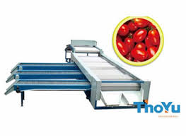 Cherry Tomato Grading Machine Thoyu