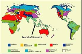 Tropical rainforests of the world: Tropical Rain Forest
