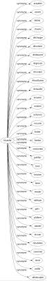 Synonyme De Blanchir 33