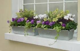 Having A Large Wedding On A Budget Winter Window Boxes Window Box Flowers Fall Window Boxes