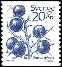 blackthorn prunus spinosa philatelie coloriage de puzzle recherche mots d&#x00027;automne