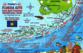 Florida Keys Fish Id Card By Frankos Maps Ltd
