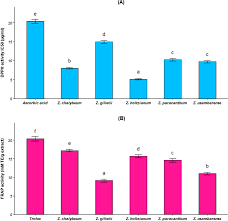 Image result for Zanthoxylum holtzianum
