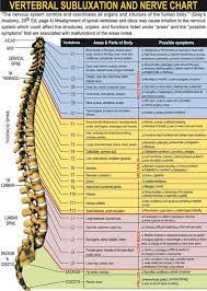 Vertebral Subluxation And Nerve Chart On Meducation Subluxation Spinal Nerves Anatomy Nerve Anatomy