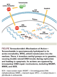 Image result for Temozolomide