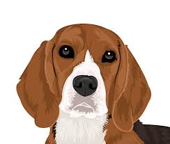 Pin By Susan G On Vector Cartoon Portrait Pop Art Animals Dog Art Beagle Art