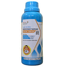 Bestar 505SC