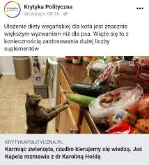 Kilka dni temu poeta i publicysta, jaś kapela, napisał artykuł mój. Odebrac Jasiowi Kapeli Zwierzeta Glodzi Jakims Polaczyna Wykop Pl