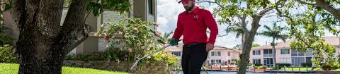 Since 1992, gulf lawns and trees of fort myers, fl has been a respectable name in the landscaping and tree service industry. Organic Lawn Care Fort Myers Florida All U Need Pest Control