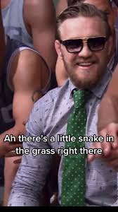 Little Snake Conor Mcgregor