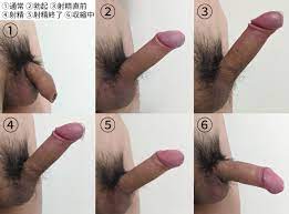 射精 画像