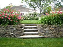 Pin On Gardening Landscaping