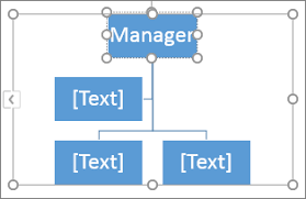 create an organization chart office support