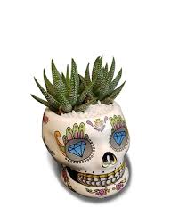 I love dia de los muertos, or day of the dead as we call it here in the states. Dia De Los Muertos Skull Planter In Ferndale Mi Blumz By Jrdesigns
