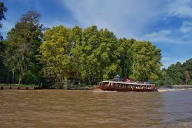 Check spelling or type a new query. Complete Guide To Tigre Buenos Aires The Whole World Or Nothing