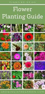 If you specify a location in the search or create an account and specify a default location, the plant list will be location aware and show plants with growing areas in your. Arizona Annual Flowers A Visual Guide For Low Desert Flowers Growing In The Garden Flower Planting Guide Annual Flowers Perennial Flowers List