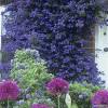 Check spelling or type a new query. Https Encrypted Tbn0 Gstatic Com Images Q Tbn And9gcth8amiwyrkxjua1imivu5elfaczk03obzc1dm6dpi Usqp Cau