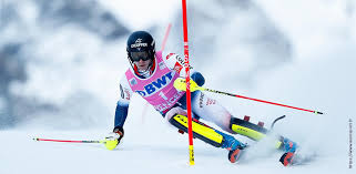 Présentation de la formation : Saison D Hiver 2019 2020 Reussie Pour Nos Sportifs De Haut Niveau Universite Savoie Mont Blanc Formation Recherche
