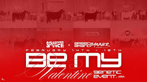 The Wendt Group, Inc.