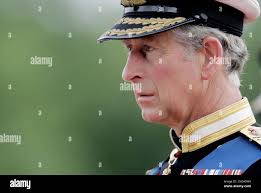 HOLD FOR THORP-Britain's Prince Charles stands