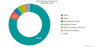 University Of Iowa Diversity Racial Demographics Other Stats