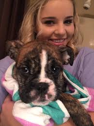 will pringle (@w_pringle15)