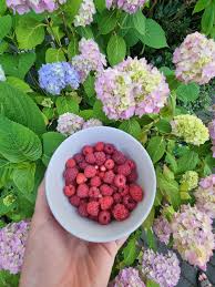 Dann melde dich bitte an, um deine gespeicherten artikel zu sehen. Garten Ideen So Gestaltest Deinen Aussenbereich