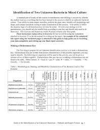 Identification Of Two Unknown Bacteria In Mixed Culture