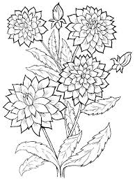 Click here and download the beautiful dahlias coloring page graphic · window, mac, linux · last updated 2021 · commercial licence included ✓. Top 20 Printable Dahlia Coloring Pages Online Coloring Pages
