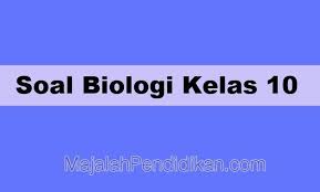 Contoh soal prakarya kelas 10 semester 2 kurikulum 2013 dan kunci jawaban tekape id. Kunci Jawaban Ukbm Biologi Kelas 10 Semester 1 Ilmu Link