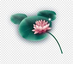 We did not find results for: Efek Daun Teratai Nelumbo Nucifera Teratai Segar Yang Luar Biasa Bunga Lotus Hebat Png Pngwing